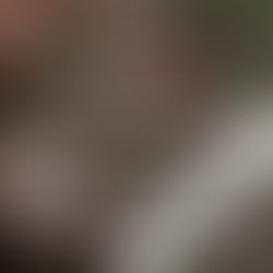 Hipa 2025 - Photography Competition