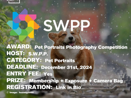 The Society of Wedding & Portrait Photographers - Pet Portraits Photography Competition