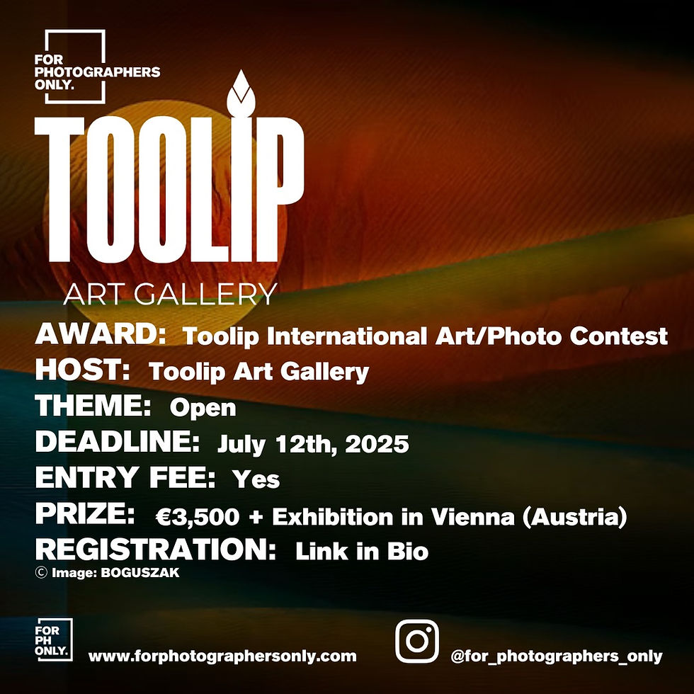 Toolip International Art e Photo Contest 2025
