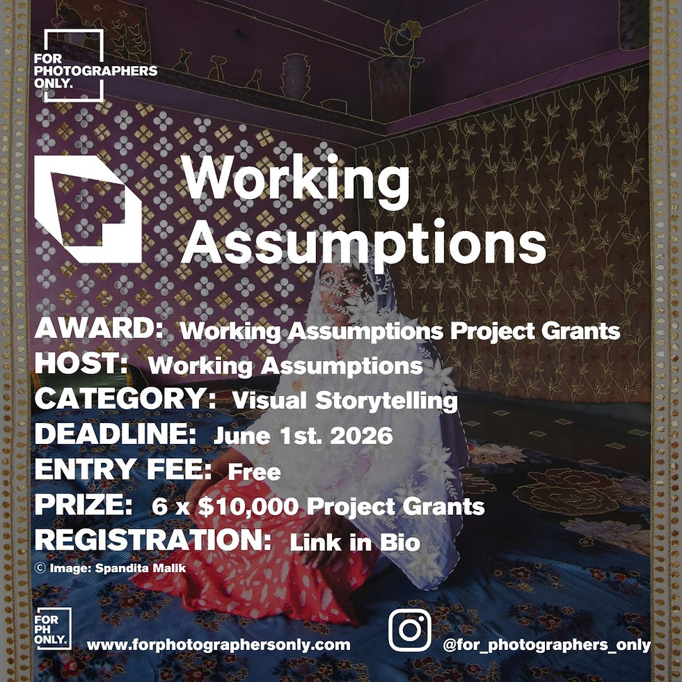 Working Assumptions Project Grants