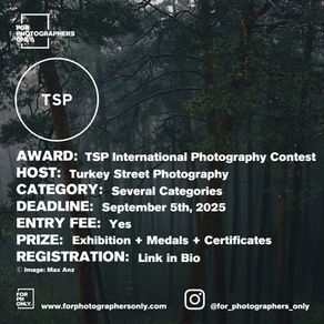 TSP International Photography Contest - Turkey Street Photography