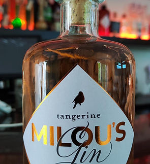 IMG_20240707_201824 (1)_edited.jpg