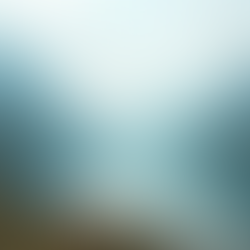 Grief Coaching: Transform Your Loss into Resilience