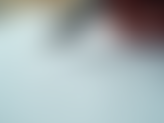 Importância do Seguro de Responsabilidade Civil para Profissionais