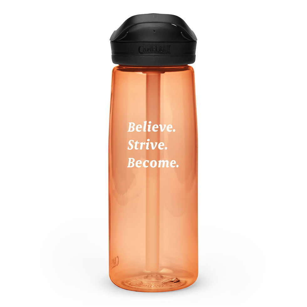 Thumbnail: BSB Premium 25 oz Gym Water Bottle