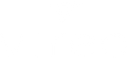 Vireo Logo_Purp copy.png