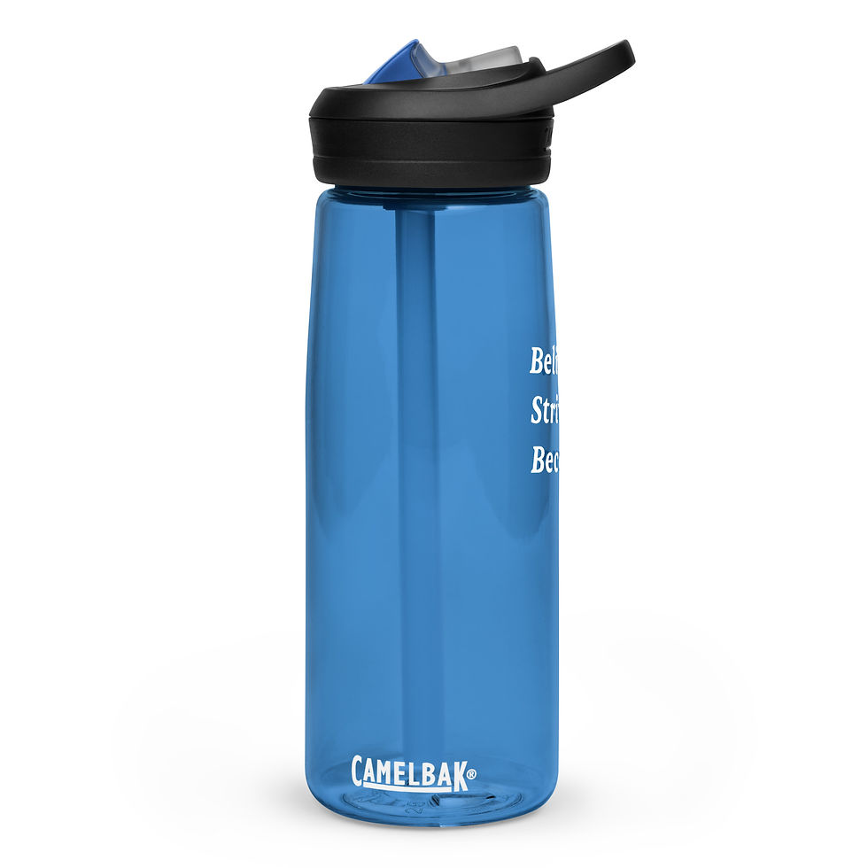 Thumbnail: BSB Premium 25 oz Gym Water Bottle