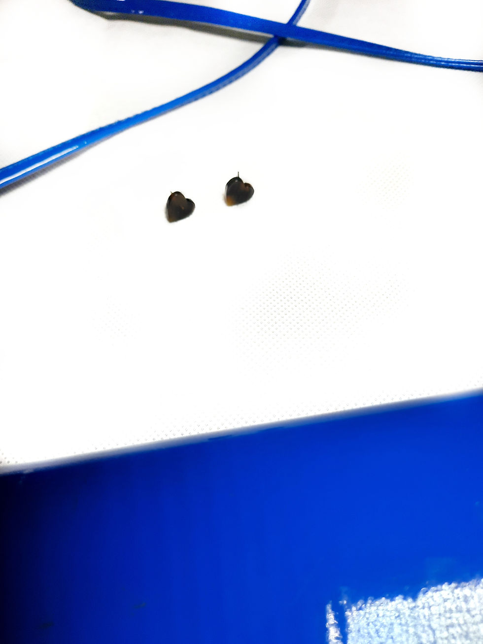 Thumbnail: Midnight Blue