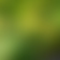 Overflowing Blessings:                          Trusting God with Our Harvest and Our Hearts