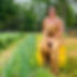 5ED30A63-B43F-475B-B443-3F4E4A0BCF3D_1_201_a_edited.jpg