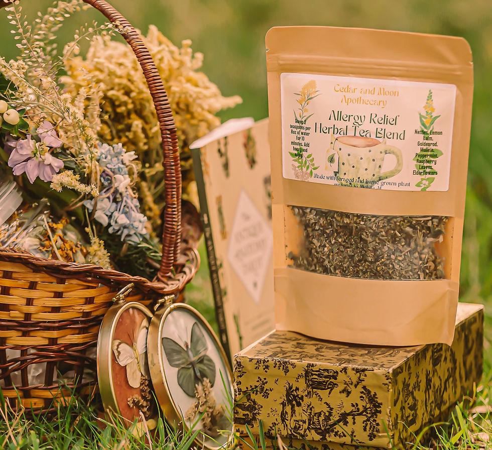 Allergy Relief Herbal Tea Blend Cedar&MoonApothecary