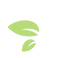feuille.png