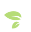 feuille.png