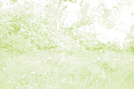 Fond_nature.png