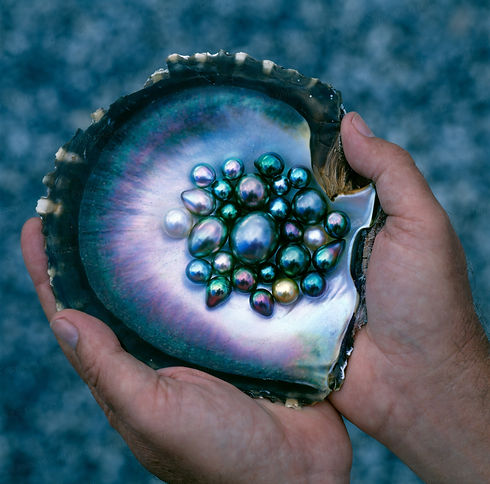 oyster.jpeg
