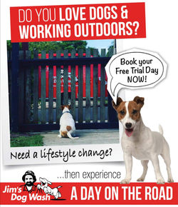 Jim's Dog Wash and Grooming 131 546