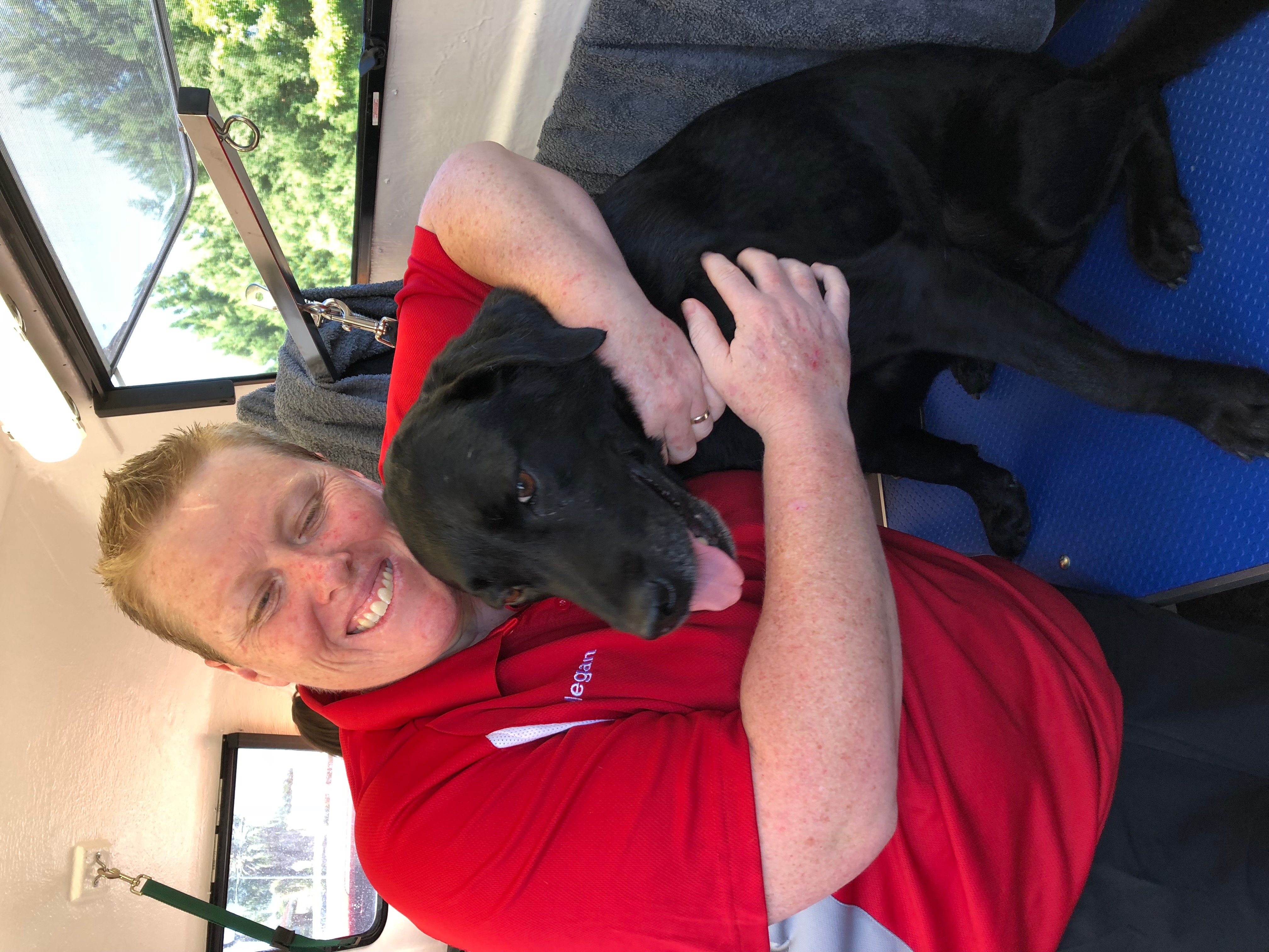 dog wash central coast