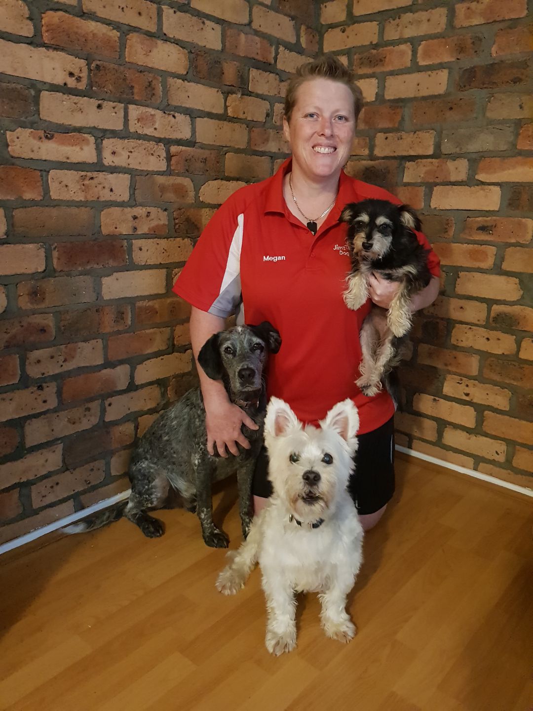 dog wash central coast