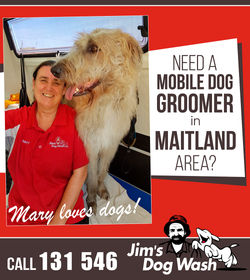 Jim's Dog Wash and Grooming East Maitlan