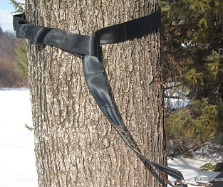 Hunter safety system for deer hunters to be safe when using climbing tree stands