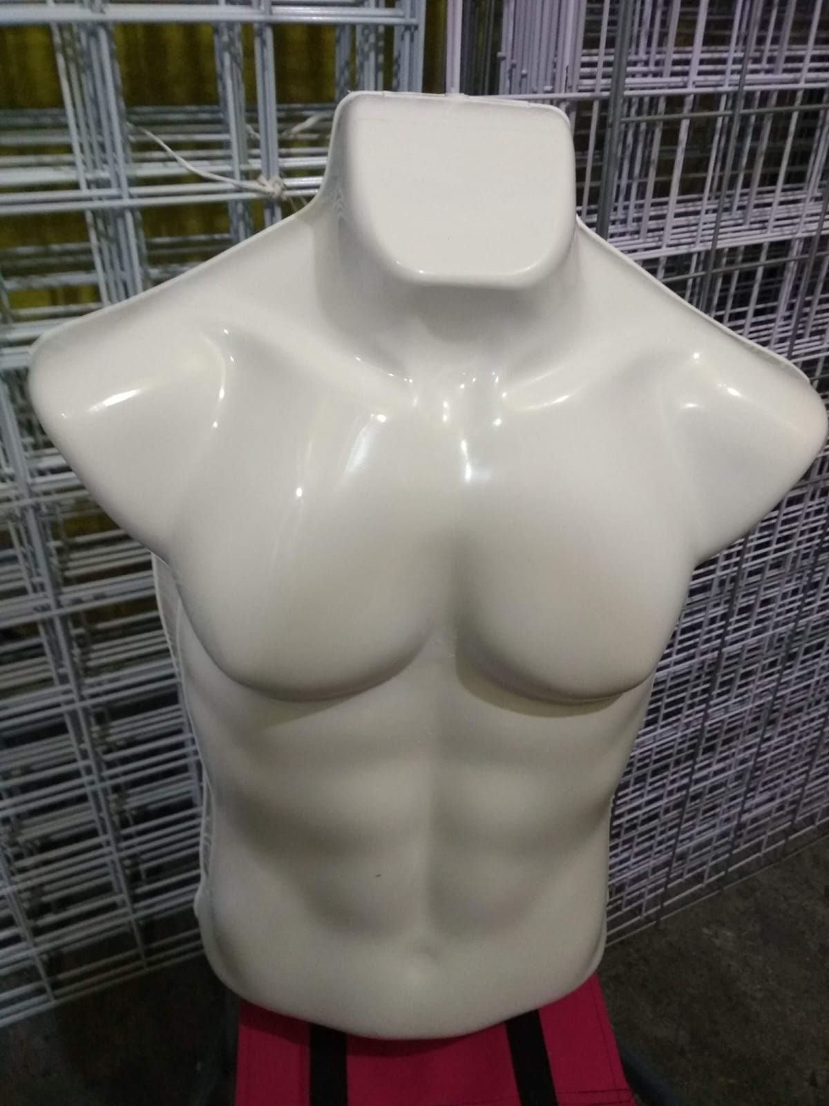 Maniquie torso caballero