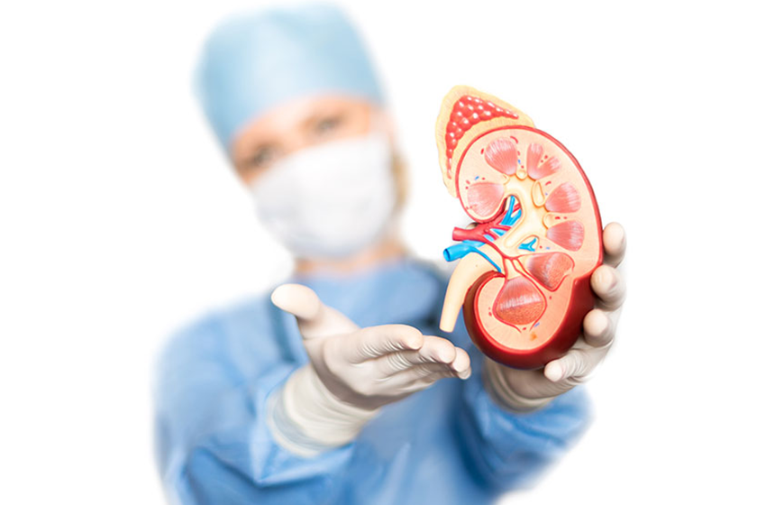 Kidney Transplant FAQs