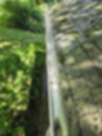 FB_IMG_1732512697454