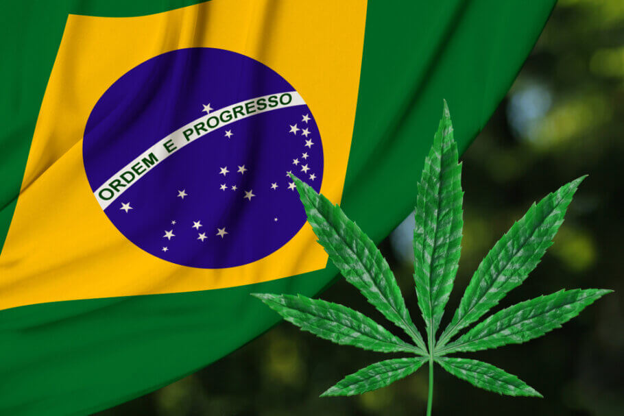Brasil se moviliza: miles piden la legalización del cannabis
