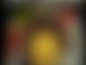 El reggae auténtico de Riddim en México