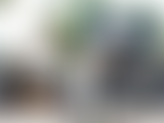 Tierra Jaguar celebra su aniversario con concierto