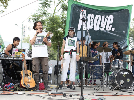 Tierra Jaguar celebra su aniversario con concierto