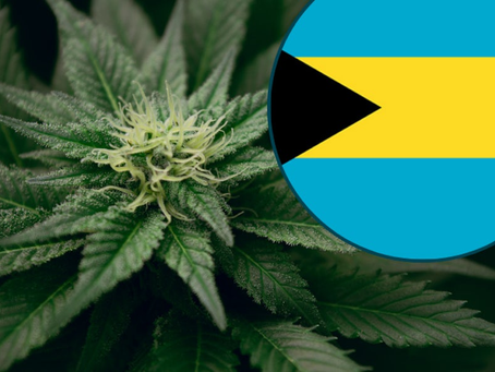 Bahamas presenta un proyecto de ley para regular el cannabis con fines médicos y religiosos