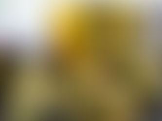 Estudio revela: el cannabis recreativo y medicinal comparten más similitudes de lo que pensabas