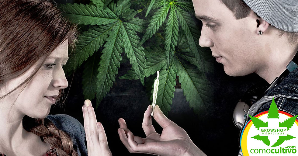 Impacto del cannabis en adolescentes: desde la euforia temporal hasta los riesgos a largo plazo
