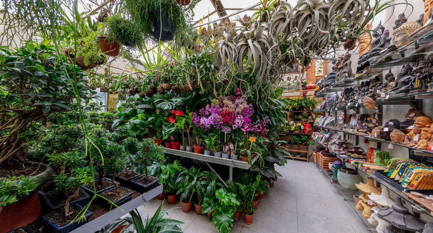 Le magasin Bonsaï Center