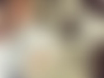 Tlaxcalteca con Orgullo representa a Mexico en San Diego California