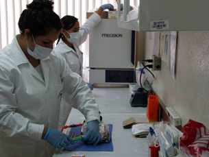 DESCARTA PGJE HALLAZGO DE PERSONA DESAPARECIDA EN TLAXCALA