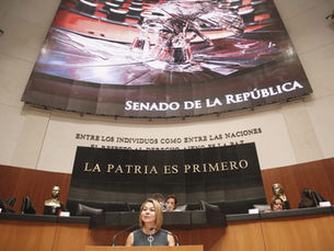 Dictámenes en materia de ingresos son sinónimo de irresponsabilidad hacendaria: Minerva Hernández