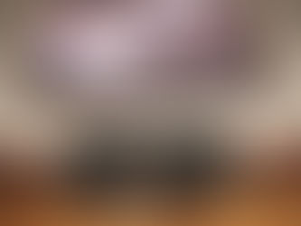 Dictámenes en materia de ingresos son sinónimo de irresponsabilidad hacendaria: Minerva Hernández