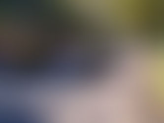 Inicia SSC operativo Verano 2019 para garantizar seguridad de familias y visitantes