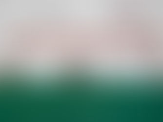 SUGIEREN QUE TLAXCALA INGRESE AL NARANJA DEL SEMÁFORO EPIDEMIOLÓGICO