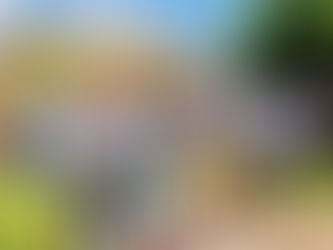 SAGA asiste a la apertura de Javier Solis en Chiuatempan.