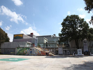 ALERTA SEPE-USET A AUTORIDADES MUNICIPALES POR LLAMADAS FALSAS