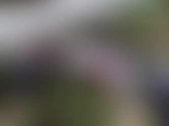 CON ASISTENCIA TÉCNICA SEFOA IMPULSA CRECIMIENTO DE CADENA AGRÍCOLA DEL NOPAL.