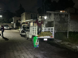 Protección Civil y Seguridad Pública Municipal activan protocolo para manejo de panales de abejas.