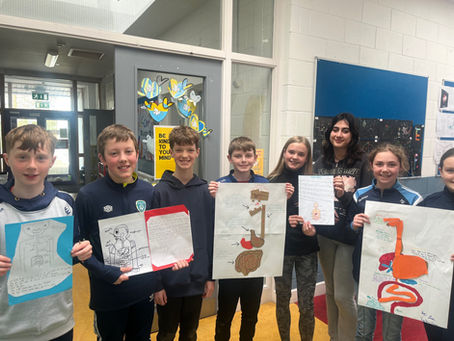 Digestive system hands on learning