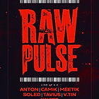 Raw Pulse