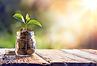 AdobeStock_100673786.jpeg