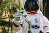 AdobeStock_296296348.jpeg