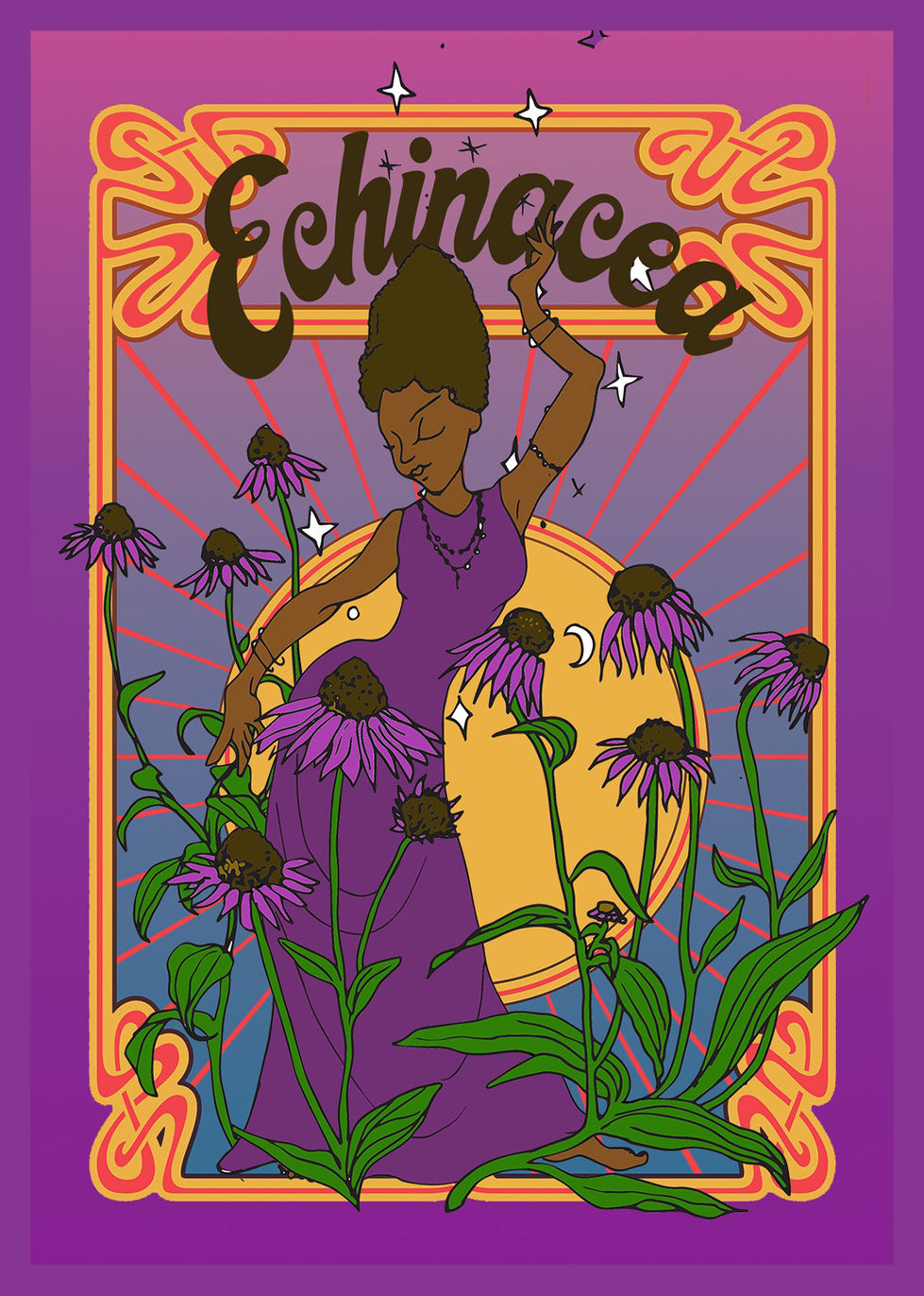 11 echinacea